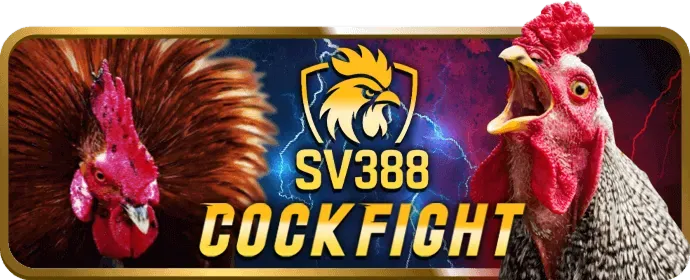 Ưu đãi độc quyền cho VIP